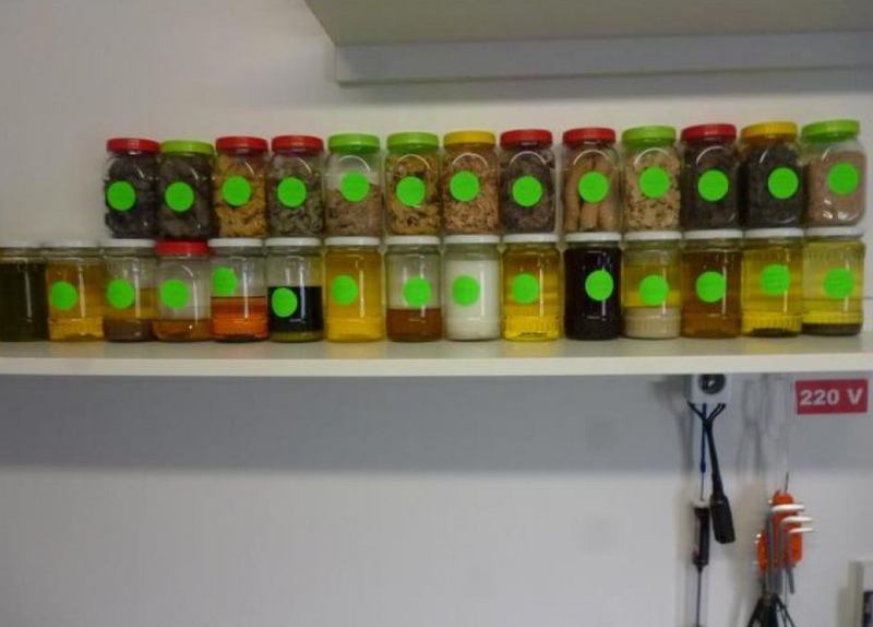 Presa ulei verificare acid oleic